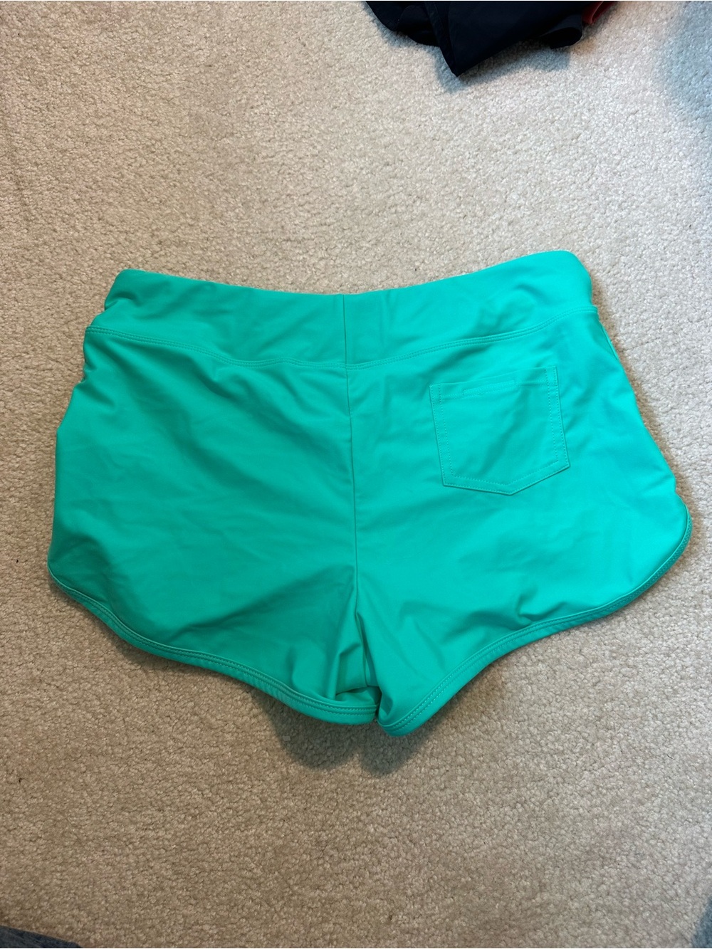 Carve Designs Women's Turquoise Swim Shorts - Picture 3 of 3